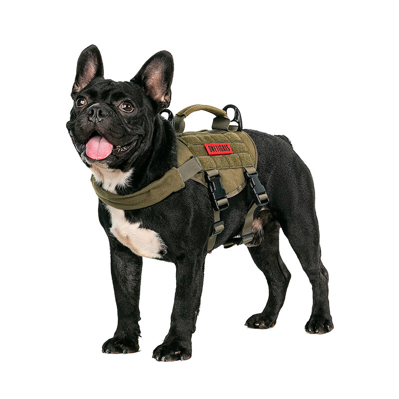 BEAST MOJO Tactical Dog Harness