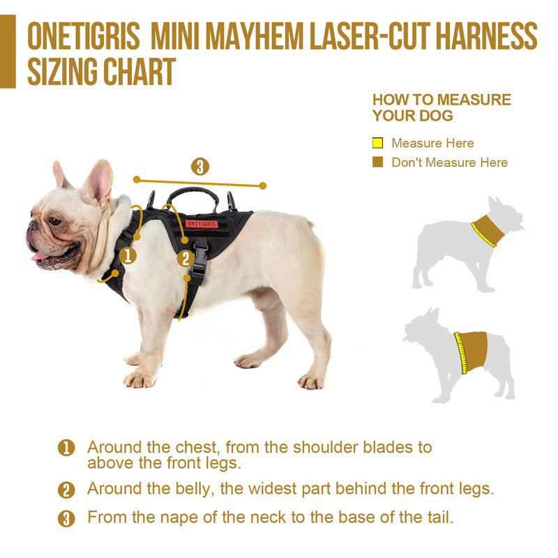 MINI MAYHEM Laser-Cut K9 Harness